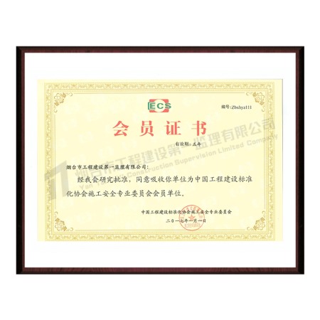 2017標準施工企業(yè)